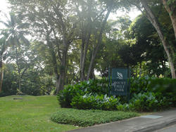 Estilo (D9), Apartment #146659302